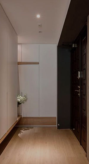 Shoe Cabinet
